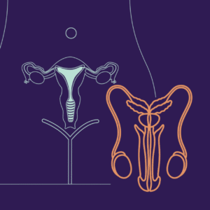 Education Corporelle